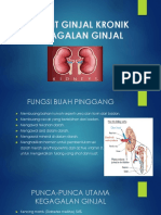 Penyakit Ginjal Kronik & Kegagalan Ginjal