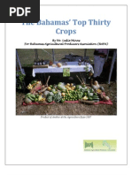 The Top 30 Crops L. Minns