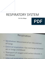 FOTO Respiratory System Dr. Eric Mayo