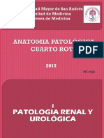 ANATOMIA PATOLÓGICA 4.pdf Versión 1 PDF