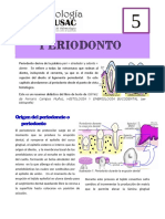 Periodonto PDF