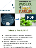 Penicillin Fermentation