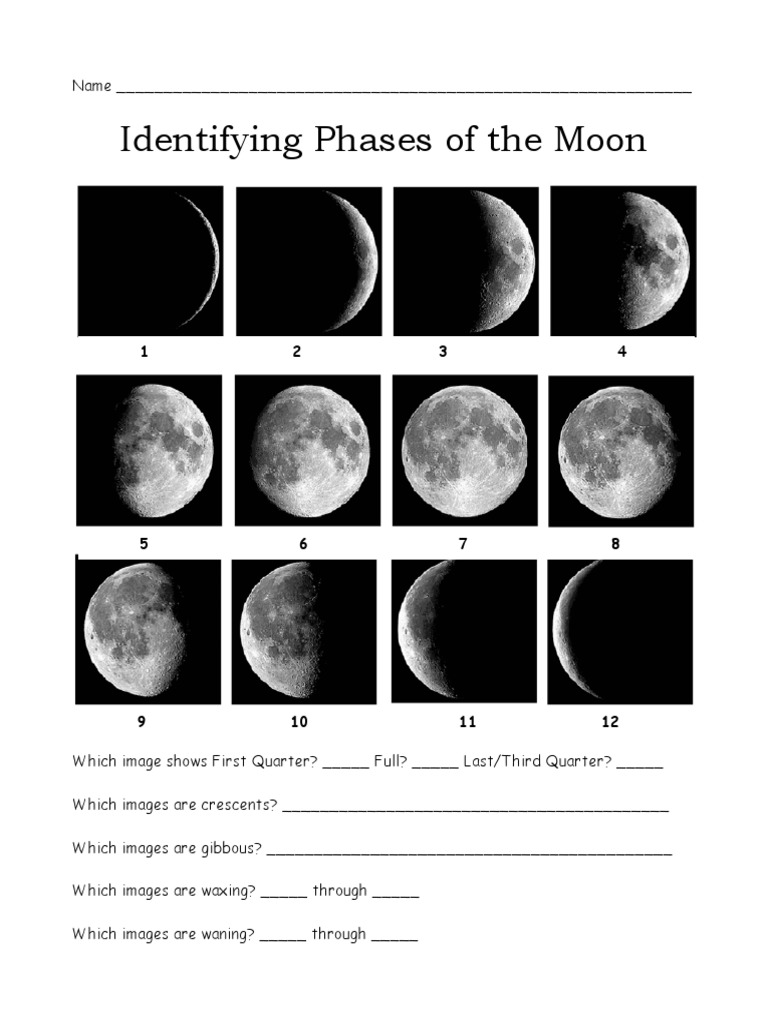 Phases of the Moon Worksheet | PDF | Moon | Solar System