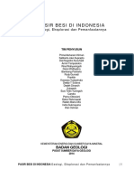 Pasir-Besi-di-Indonesia-Geologi-Eksplorasi-dan-Pemanfaatannya.pdf