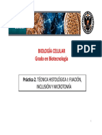 Diapositivas Practica 2 PDF