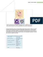 Histologia Da Mama (1)