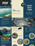 Sample Brochure About Ecosystem of Lakes