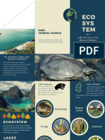 Sample Brochure About Ecosystem of Lakes