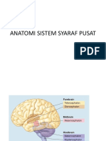 Anatomi Sistem Syaraf Pusat