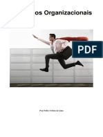 Processos_Organizacionais_1.pdf