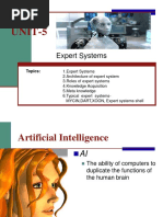 Expert Systems