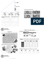 Estrategias de Comprensión Lectora Stars Series A