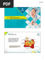 Aula 10- Organelas- Retículo Endoplasmático, Ribossomos