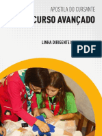 Curso_avançado_dirigente_institucional_cursante.pdf