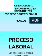 Plazos Proceso Laboral Contencioso Administrativo y Constitucional