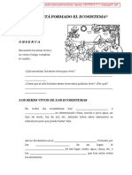 Cuaderno Cadena Alimenticias-Repaso Ecosistemas 13pg PDF