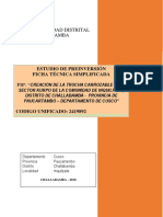 Resumen Ejecutivo PDF