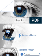 Ulkus Kornea