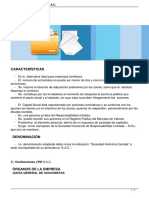 Sociedad Anonima Cerrada Sac PDF