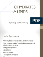 Carbohydrates Lipids