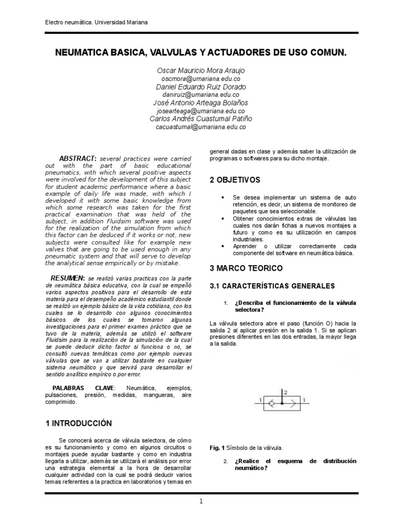 Ejemplo Informe IEEE | PDF | Software | Science