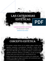 Categorias Esteticas PDF