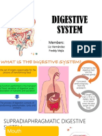 Digestive System