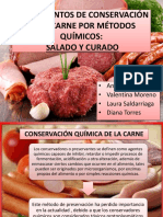 Salado y Curado Completo PDF