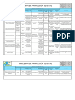 Formato de Procesos I PDF