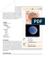 Índice: Evolución Invertebrados