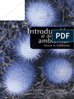 INTROD DER AMB CAFFERATA -.pdf