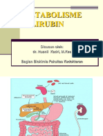 KP 1.4.2.7 Siklus Enterohepatik Dan Metabolisme Bilirubin