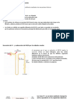 Renal Acido Base