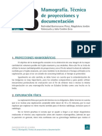 t_mamo.pdf