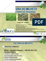 Cultura Do Milheto Renato-Lara PDF