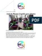 Anel de Plasma Liquido.pdf