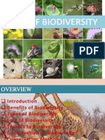 Loss of Biodiversity