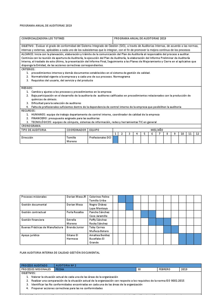Programa Anual de Auditorías 2019 | PDF | Auditoría | Contralor