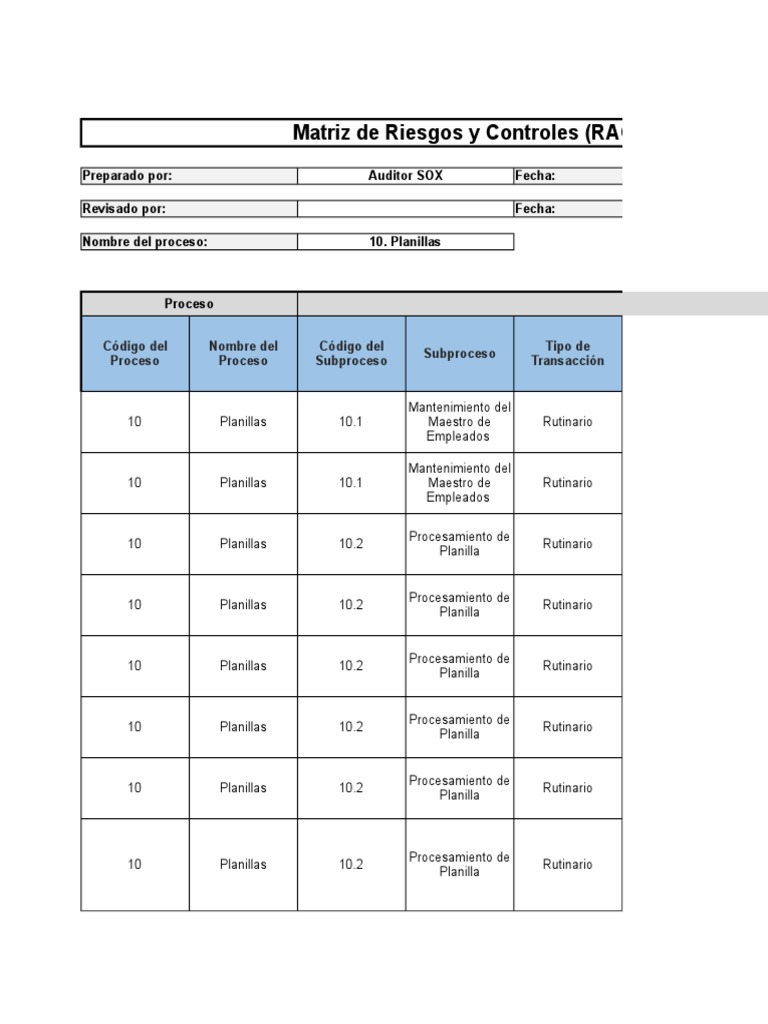 Matriz RACM de Riesgos y Controles | PDF | Contabilidad | Salario