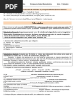 Substantivos e Adjetivos EJA Exercícios.pdf