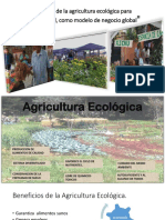 Agricultura Ecologica