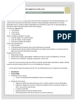 Desarrollo del SNC.docx