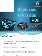 Bacterias Acuáticas 2
