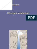 Glycogen Metabolism: Unit Ii: Intermediary Metabolism