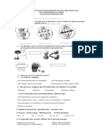 Evaluacion Reproduccion 8