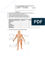 Evaluacion Sistema Linfatico