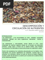 2 Descomposicion Circulacion