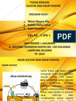 Daur Sulfur dan Fosfor.pptx