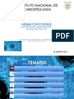 HEMATOPOYESIS