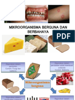 Mikroorganisma